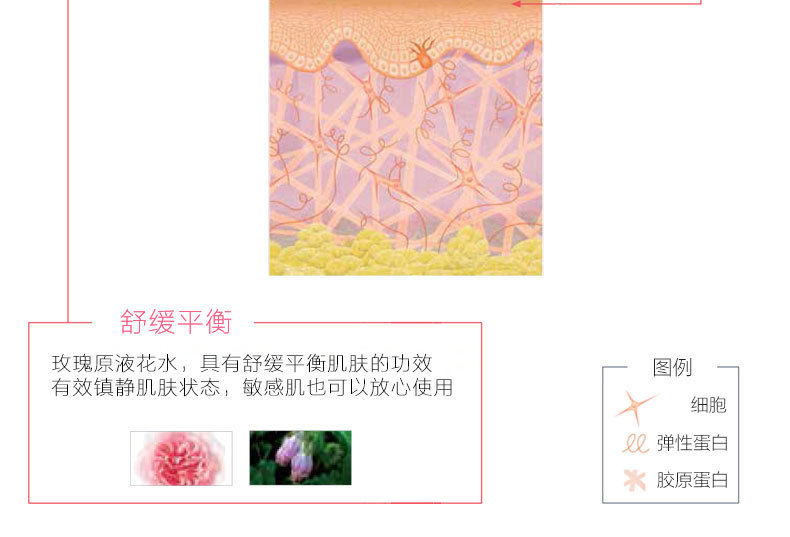 玫瑰養顏補水凝膠-歐泉生化 玫瑰養顏補水凝膠-歐泉生化